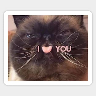 Cat love tongue Sticker